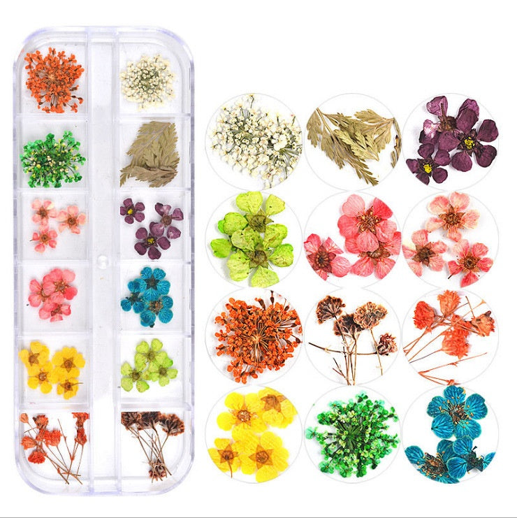 Nailart Trockenblumen