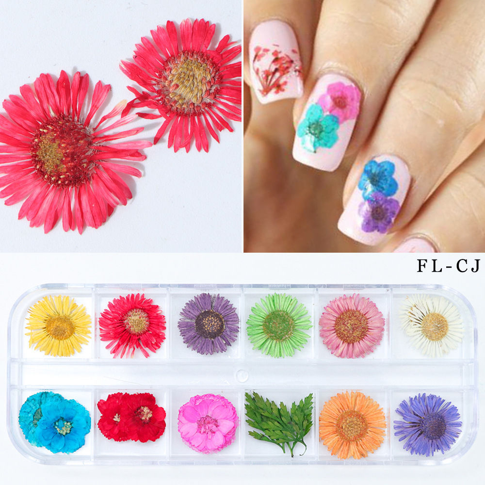 Nailart Trockenblumen